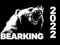 Лучшие Новые Воблеры от BearKing. Детальный обзор с игрой воблеров.