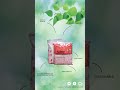 Video Image