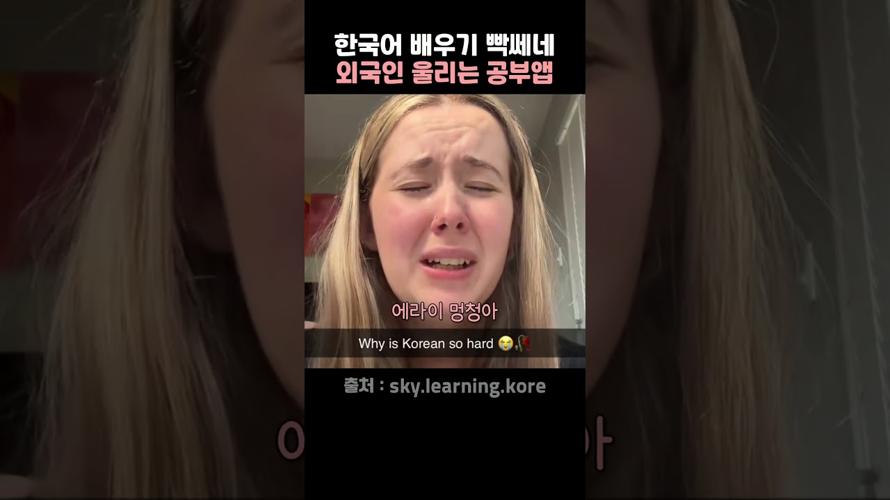 한국어 공부하던 외국인들이 눈물흘린 이유