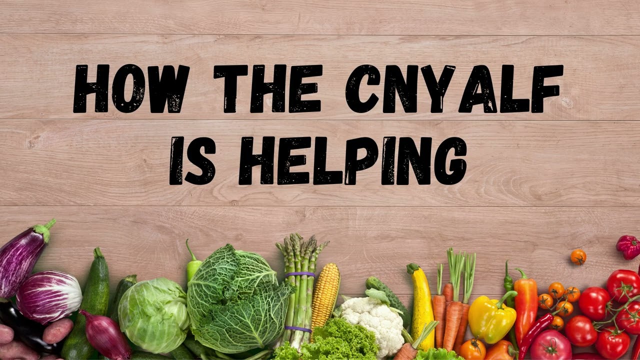 CNYALF Joins the Labor Feeds NY Initiative