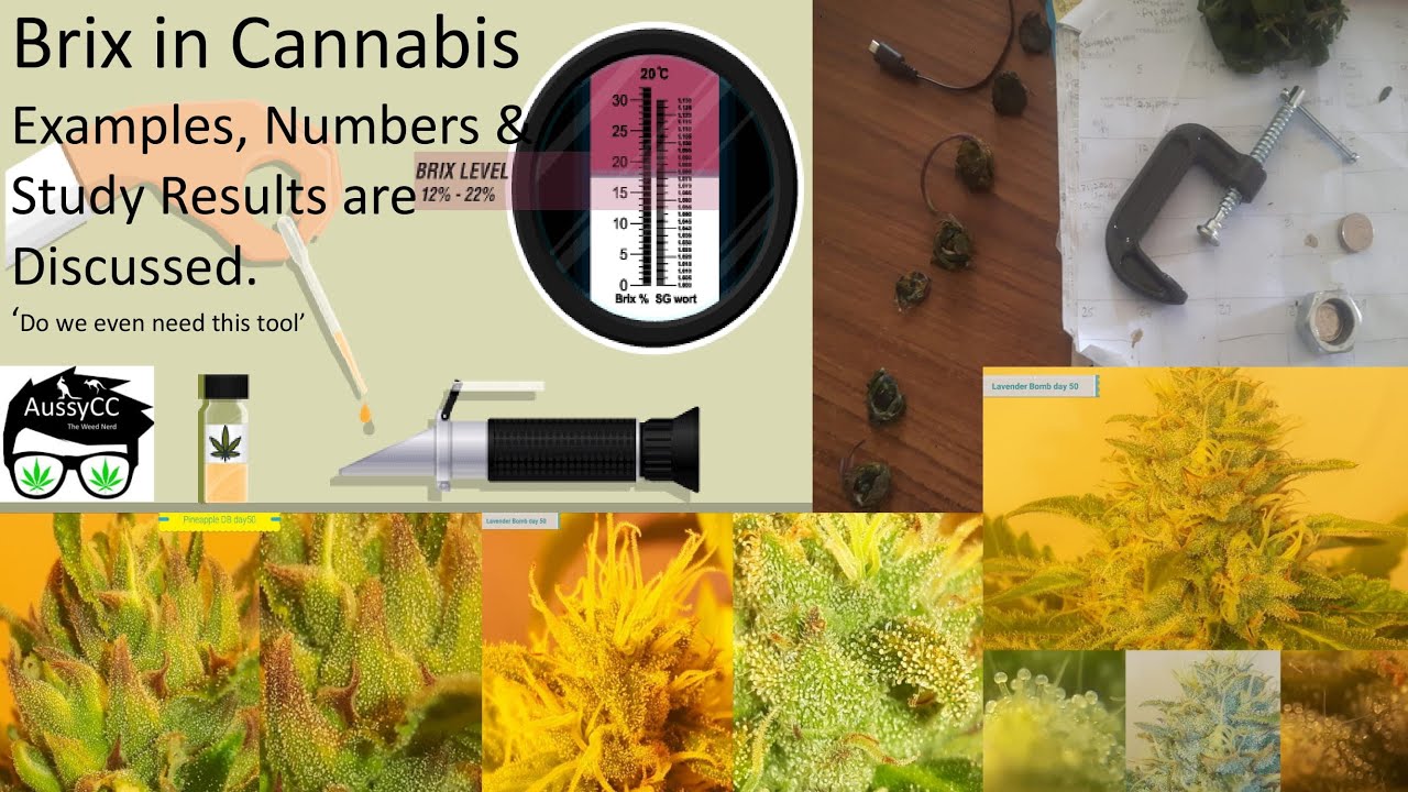 Brix in Plants -  Examples, Numbers & Study Results are Discussed. Do we even need this tool?