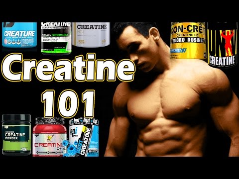 should-i-take-creatine,-which-is-best,-&-is-it-bad-for-you?