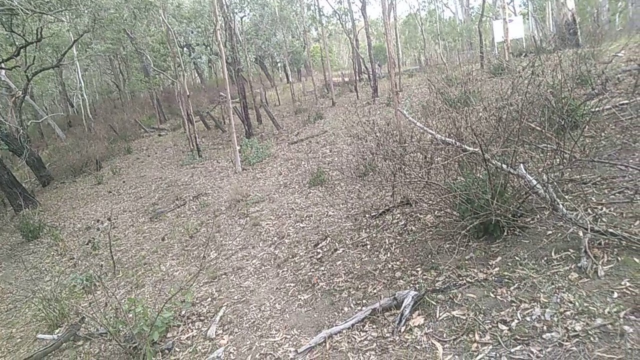 Somerset Farmer Never Heard Of Yowie Bigfoot Hairyman Junjudee