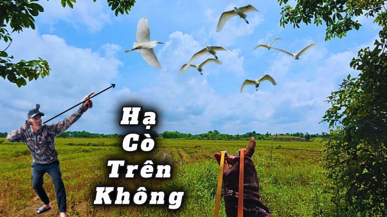 Dùng Ná Cao Su Chinh Phục Mục Tiêu Di Động Cự Ly Xa , Kiếm Mồi Ra Bờ Ao Chế Biến || SangSlingShot
