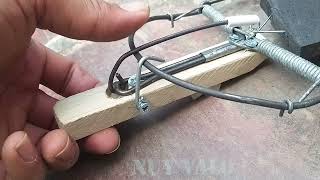 Loại bẫy chuột tốt nhất từ trước đến nay mà Nuy Valo từng gặp, Best mousetrap