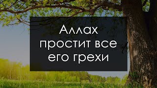 Аллах простит все его грехи | Омар Сулейман