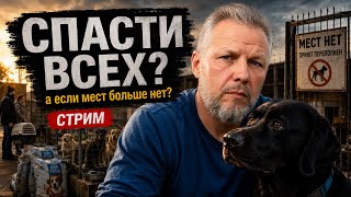 Мы хотим помочь всем. Но куда их брать? | Стрим 5 июня