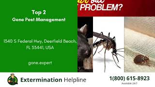 Top 3 Exterminators in Deerfield Beach