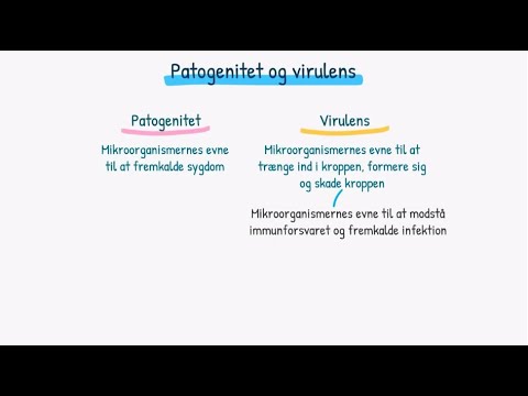 Video: Hvordan kommer patogener ind i kroppen?