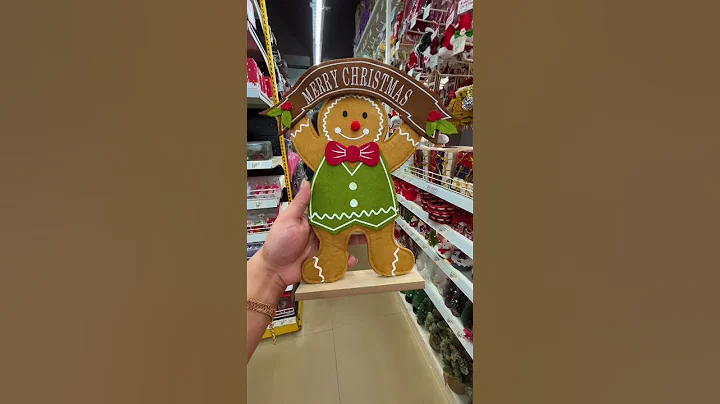 Christmas Decor ☃️🎄❄️ finds from MR DIY under 100rs #budgetfriendly #christmasdecor #mrdiy