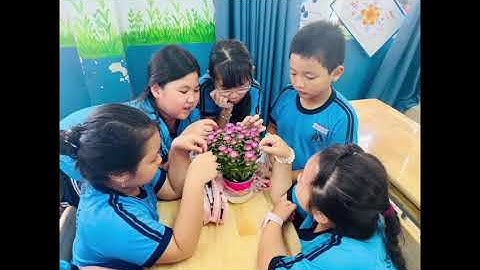 Bảng A, TP Thủ Đức - Trường Tiểu học Nguyễn Văn Trỗi, CT " HÀNH ĐỘNG XANH - TRƯỜNG HỌC XANH "