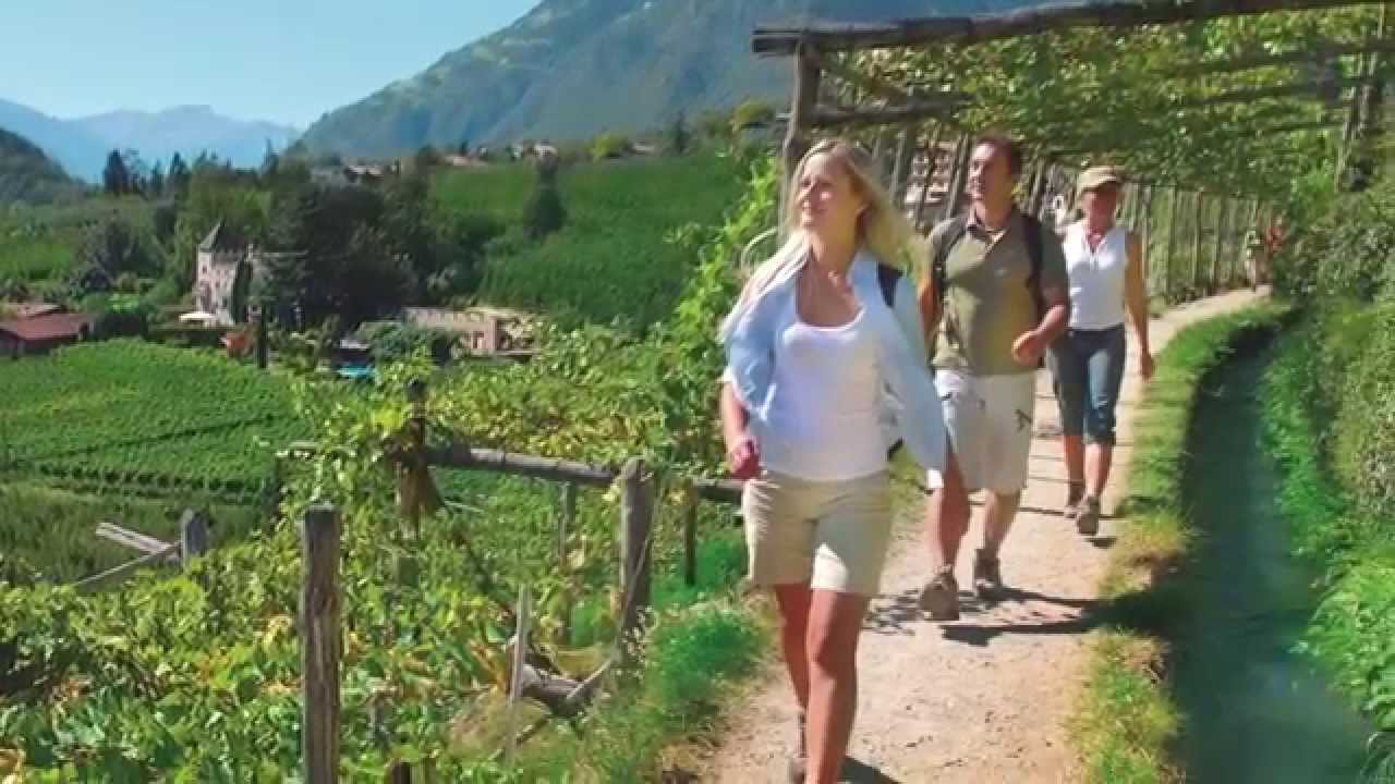 Waalwege durch das blühende Algund