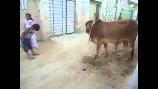 Whatsapp Funny Videos India Funny Indian Whatsapp Videos Compilation