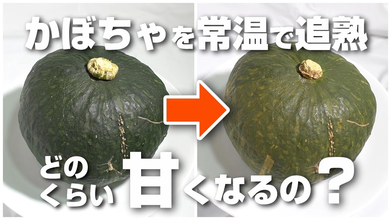 かぼちゃを常温保存で追熟させたらどのくらい甘くなるのか検証してみたら意外な結果に！