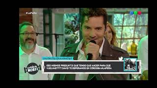 David Bisbal  A Partir De Hoy  La Pea De Morfi