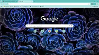 Verification video to google for use of Scopes