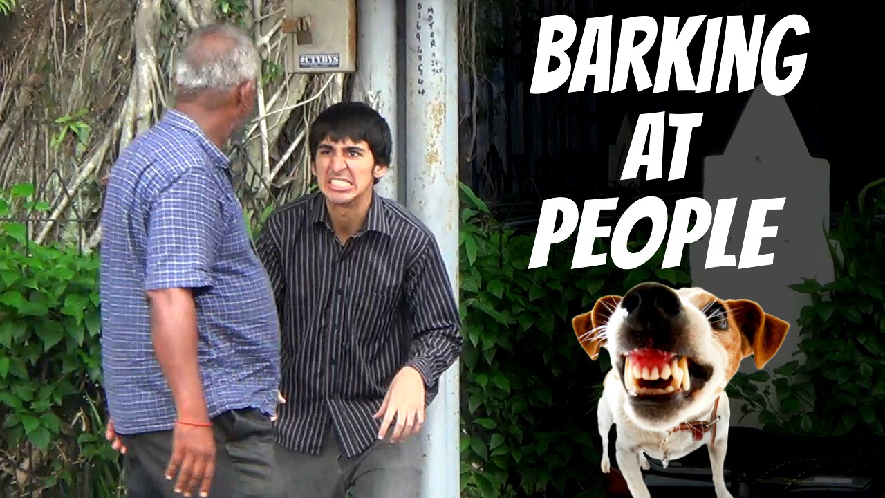 Barking at people - Acting like dog in 