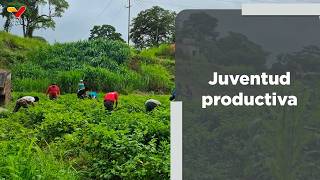 Conozca cómo los jóvenes impulsan iniciativas para fortalecer el aparato productivo nacional