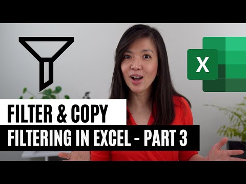 Filtering Options in Excel: Filter & Copy | Part 3 of 4