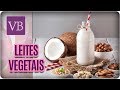 Benefícios dos Leites Vegetais + Receitas - Você Bonita (04/04/18)