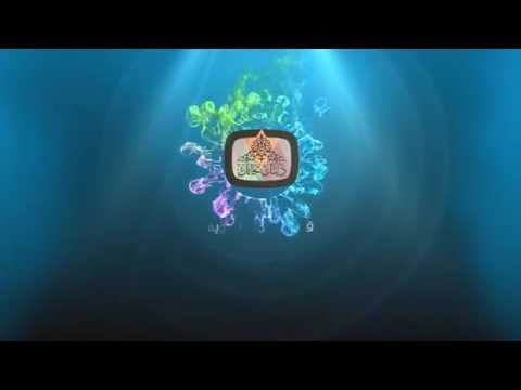 حكم من حكم بغير ما أنزل الله الشيخ عبد المحسن العباد حفظه الله 