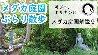 【めだか庭園解説09】メダカ庭園をぶらり散歩　めだか飼育　めだかの楽しみ方　2020年