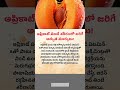 ఆప్రికాట్ తింటే శరీరంలో జరిగే అద్భుత మార్పులు #factstorytelugu #apricots #healthtips