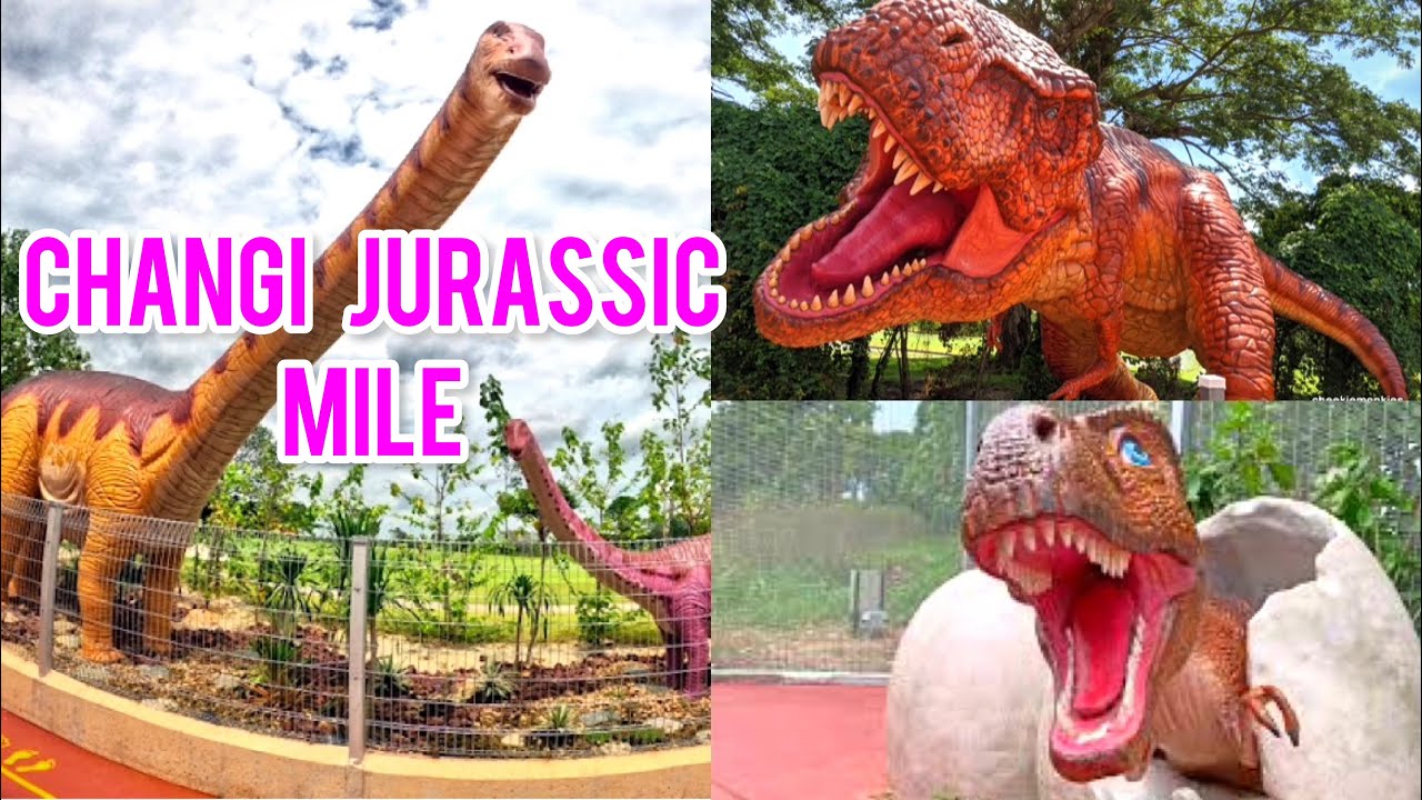 CHANGI JURASSIC MILE || Explore Changi Jurassic mile || Tuoi Singapore