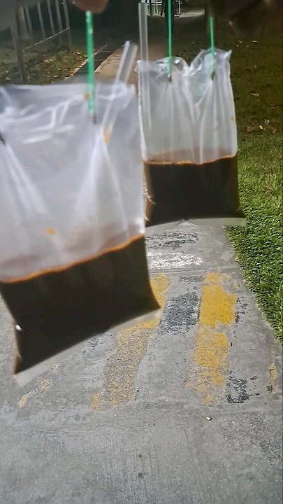 Chinese coffee#shorts#shortsvideo#shortsvideoviral#youtubeshorts