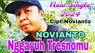 NOVIANTO- Nggayuh Tresnomu (Official Music Video)