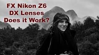 Nikon Z6 using DX Lenses at 10 mp. Does it Work?