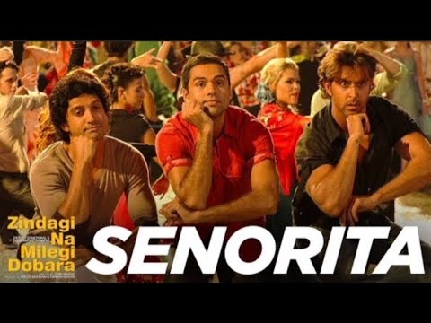 Senorita || MP3 Hit Hindi Song ❤️🌹🎶