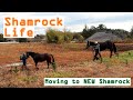 あの頃は何もなかった/NEWシャムロックへ移動Vlog