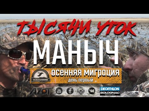 Тысячи уток. Осенняя миграция уток 2019.