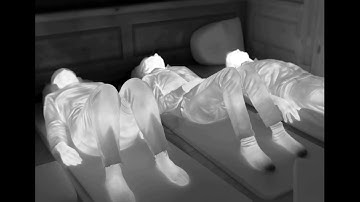 Interbeing - Trailer | IFFR 2019