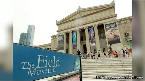 Field Museum cutting costs, losing scientists