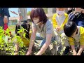 DAS Taiwan and General Village Hsinchu on Arbor Day in 2023