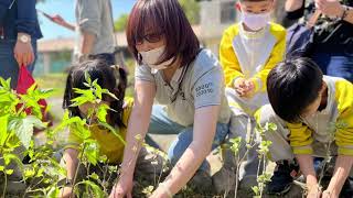 DAS Taiwan and General Village Hsinchu on Arbor Day in 2023