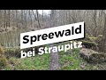 Wanderung - Oberspreewald bei Straupitz