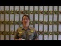 Friends of Gettysburg Centennial Message - Sue
