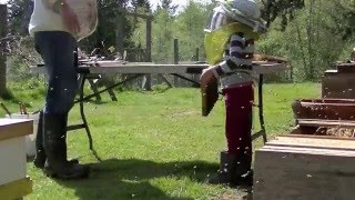 converting a Langstroth hive to a Kenya Topbar with my 5 year old daughter
