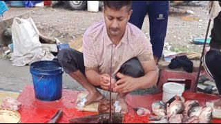 Boti fish cutting 대표 영상 썸네일