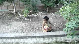 MOV08032.MPG