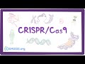 CRISPR/Cas9