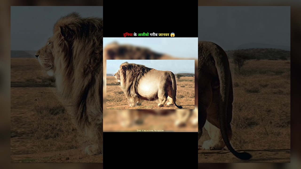 ALERT This Animals Are Big 🤯#shorts #amazingfacts #facts #experiment