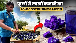 फूलों से लाखों कमाने का Low Cost Business Model | Dry Flower Business | Flower Farming | Solar Dryer
