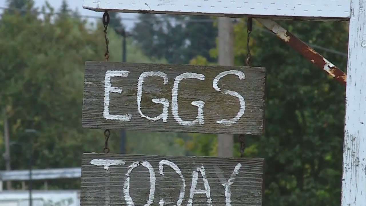 Estacada marketplace opens for first time since wildfire