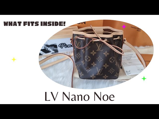 NEW IN: LV Nano Noe & Gucci SLG  First Impression, What It Fits, etc 