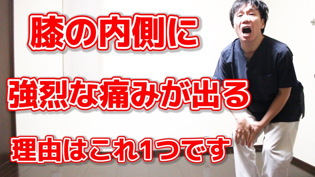 【誰も教えてくれない】膝の内側の痛みの原因は骨の変形や半月板で無い理由