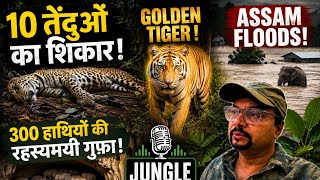 10 तेंदुओं का शिकार! | Golden Tiger ! Assam Floods ! 300 हाथियों की रहस्यमयी गुफा! Jungle Podcast 